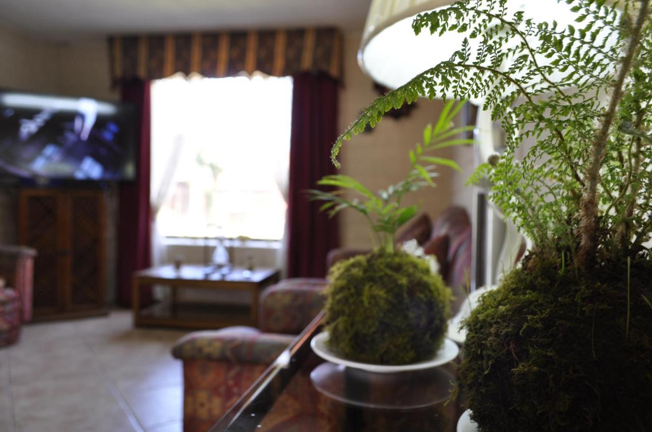 Santa Elena De Maipo Home Темуко Екстериор снимка